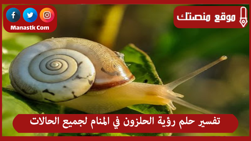 snail 405384 960 720 465x372 1