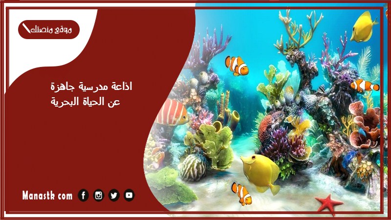 اذاعة مدرسية جاهزة عن الحياة البحرية