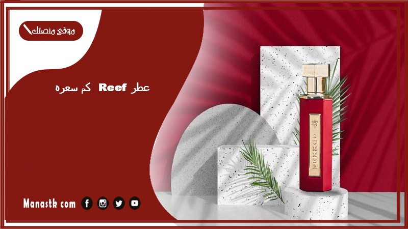 عطر reef كم سعره