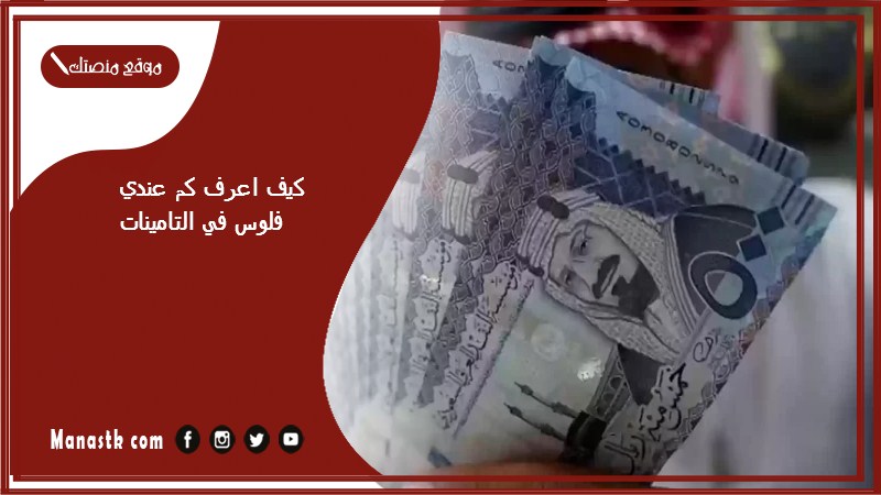 كيف اعرف كم عندي فلوس في التامينات