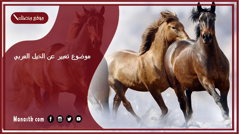 موضوع تعبير عن الخيل العربي