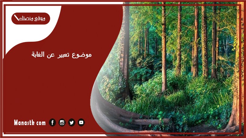 موضوع تعبير عن الغابة