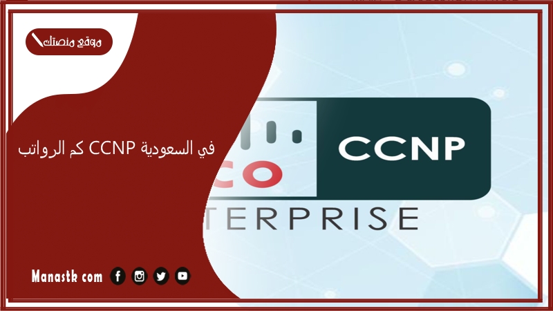 كم رواتب ccnp في السعودية 1