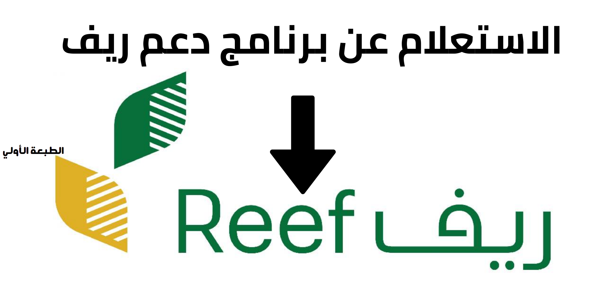 شروط دعم ريف وخطوات الاستعلام عن الأهلية